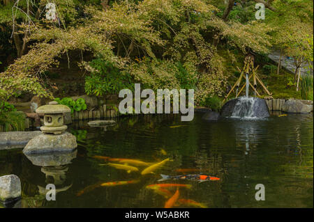 Carpes Koi japonais dans l'étang de Hase-deras buddhistic zen jardin de temple montrant leur schéma classique, Kamakura Japon 2018 Banque D'Images