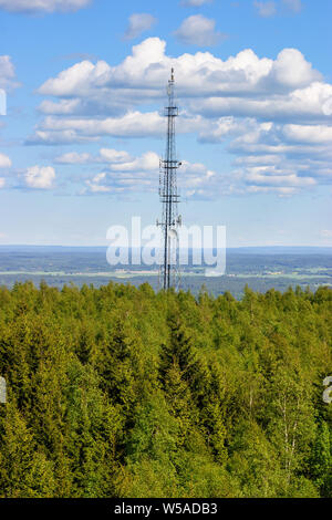 Mât de communication dans une forêt et paysage Banque D'Images