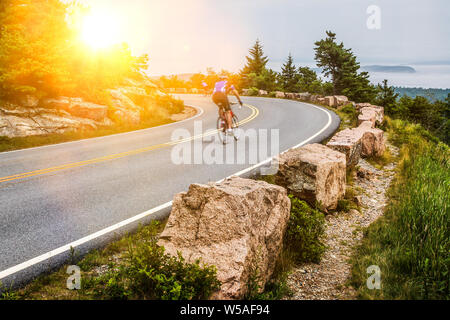 Les cyclistes de montagne en allant sur la route asphaltée en bas de la colline Banque D'Images