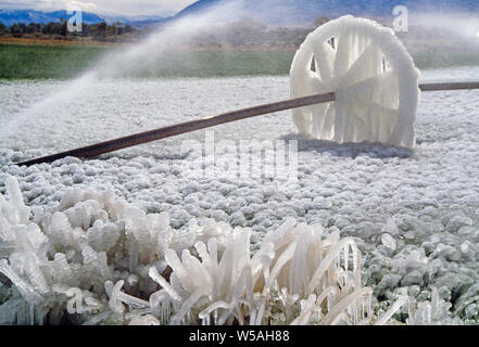 USA. Le Montana. La glace sur la roue de la machine d'irrigation. Banque D'Images