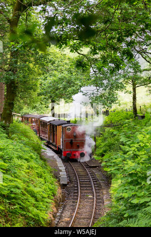 Le 1866 0-4-0T de vapeur à olgoch "loco" sur la station Dolgoch Talyllyn - le premier chemin de fer du patrimoine préservé, Gwynedd, Pays de Galles, Royaume-Uni Banque D'Images