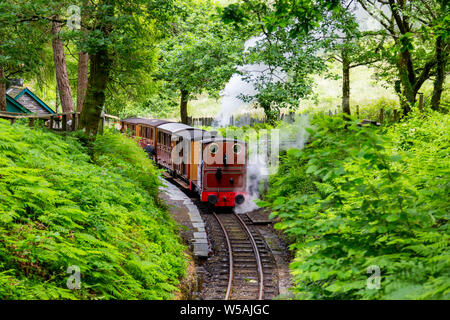 Le 1866 0-4-0T de vapeur à olgoch "loco" sur la station Dolgoch Talyllyn - le premier chemin de fer du patrimoine préservé, Gwynedd, Pays de Galles, Royaume-Uni Banque D'Images