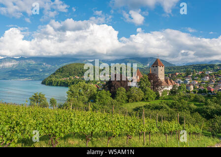 Le château de Spiez au bord du lac de Thoune, Spiez, Oberland Bernois, Suisse, Europe Banque D'Images