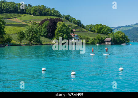 Stand-up Paddling sur le lac de Thoune, Spiez, Oberland Bernois, Suisse, Europe Banque D'Images