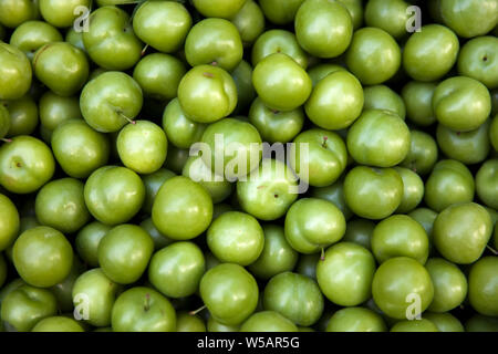 Tas de matière organique fraîche prunes vertes, greengage, à la rue du marché à Istanbul, Turquie Banque D'Images