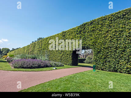 8 mètres de haut hêtre haie dans le Royal Botanic Garden Inverleith Row Edinburgh Scotland UK avec des lits de fleurs Banque D'Images