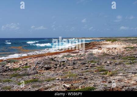 Les vagues de l'Atlantique contre l'écrasement des roches calcaires. Wild, magnifique - Windward Point, Anguilla, BWI. Banque D'Images