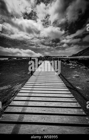 Plan vertical d'une allée en bois avec clôture milieu d'un champ sec en noir et blanc Banque D'Images