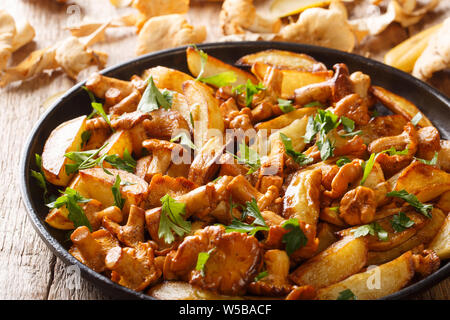 Quartiers de pommes de terre fraîchement cuites avec chanterelles sauvages close-up sur une plaque sur la table horizontale. Banque D'Images