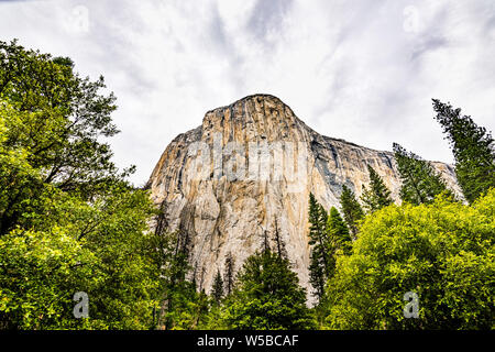 El Capitan, un monolithe de granite situé sur le côté nord de la vallée Yosemite, Yosemite National Park, Californie Banque D'Images