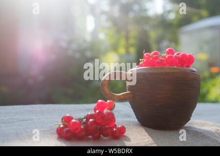 Dans les baies de groseille rouge petite tasse sur la table de la lumière du soleil. Banque D'Images