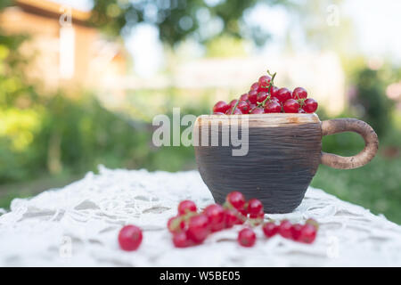 Dans les baies de groseille rouge petite tasse sur la table de la lumière du soleil. Banque D'Images