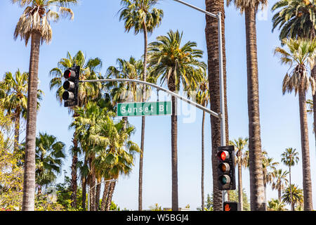 Sunset Bl. LA, Californie, USA. Texte sur le panneau vert, rouge feu, palmiers et fond de ciel bleu. Journée de printemps ensoleillée. Banque D'Images