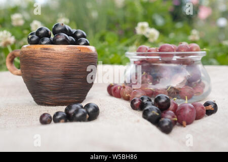 Cassis et groseilles en petites plaques sur la table Banque D'Images