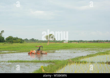 Le tracteur laboure un champ de travail sur la ferme à la plantation Banque D'Images