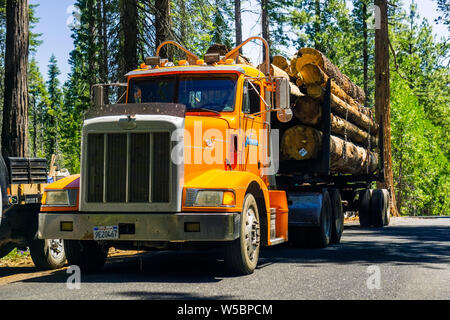 26 juin 2019 Mather / CA / USA - camion le transport de billes près de Hetch Hetchy Valley, Yosemite National Park, la Sierra Nevada Banque D'Images