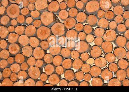 Résumé fond image modèle extrémités de courtes longueurs de diamètre aléatoire sciages grumes empilées dans le restaurant mur d'arty UK décoration Banque D'Images