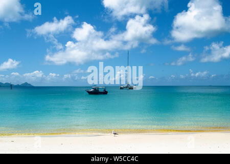 Whitehaven Beach, Îles Whitsunday Airlie Beach, Australie, destination de rêve Banque D'Images