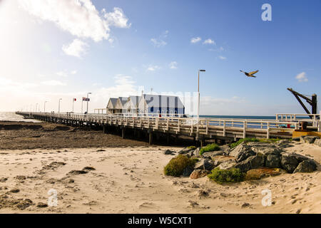 Busselton Jetty avec oiseau en après-midi, soleil et nuages, l'ouest de l'Australie Banque D'Images