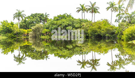 Très beau parc avec des palmiers et de la nature tropicale Banque D'Images