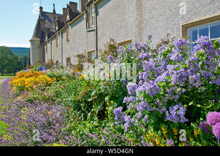 Château BALLINDALLOCH BANFFSHIRE ECOSSE GARDENS SONGE D'UNE FRONTIÈRE AVEC DES FLEURS SPECTACULAIRES Banque D'Images