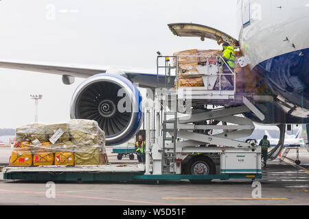 Moscou, Russie - le 23 novembre 2013 : chargement de marchandises dans l'avion avant le départ à l'aéroport Domodedovo à Moscou Russie Banque D'Images