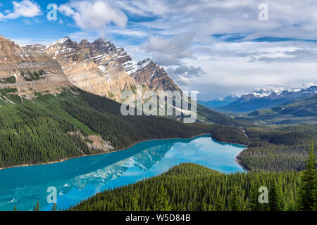 Matin sur le Lac Peyto, dans le parc national Banff, Canada. Banque D'Images