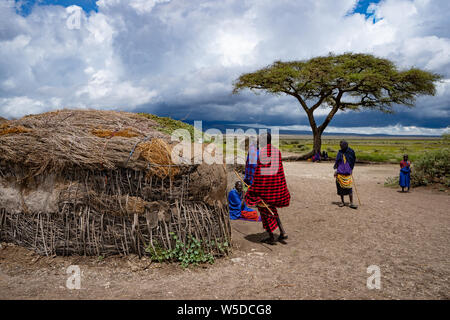 Acacia dans un village Masai. Un groupe ethnique Maasai de population semi-nomade. Photographié dans le Serengeti, Tanzanie Banque D'Images
