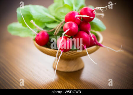 Produits frais bio radis rouge avec des feuilles sur une table en bois Banque D'Images