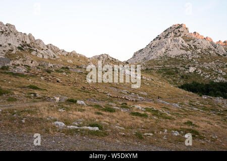 Tulove Grede, la montagne du Velebit, Croatie Banque D'Images