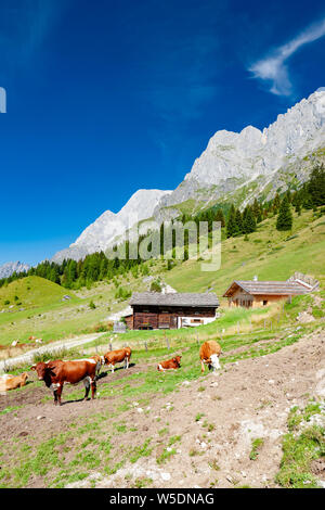 Alpes autrichiennes, à proximité et Arturhaus Bischofshofen Banque D'Images