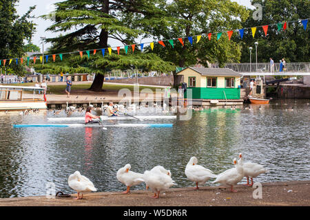 Barques bateaux sur le la rivière Avon, dans la ville de Stratford Upon Avon Warwickshire Angleterre avec oies sur la rive du fleuve Banque D'Images