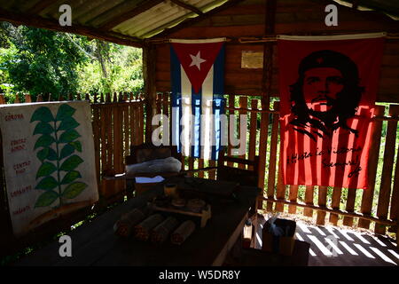 La production de cigares de Cuba, Viñales dans la province de Pinar del Río. Banque D'Images