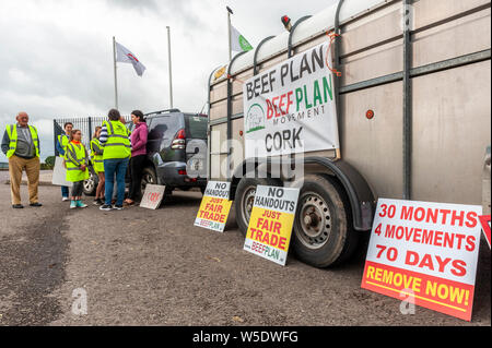 Bandon, West Cork, Irlande. 28 juillet, 2019. West Cork en colère les agriculteurs ont commencé une protestation à l'extérieur des portes d'ABP Foods, l'abattoir de Bandon, aujourd'hui. Les agriculteurs protestent contre les pauvres prix par ABP les aliments. Les agriculteurs disent qu'ils vont rester à l'extérieur des portes jusqu'à ce que la situation s'améliore. . Credit : Andy Gibson/Alamy Live News Banque D'Images