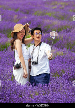 Jeune homme et femme qui pose pour les photos et vos autoportraits dans les champs de lavande à Cotswold Lavender près de Broadway Worcestershire, Angleterre, Royaume-Uni Banque D'Images