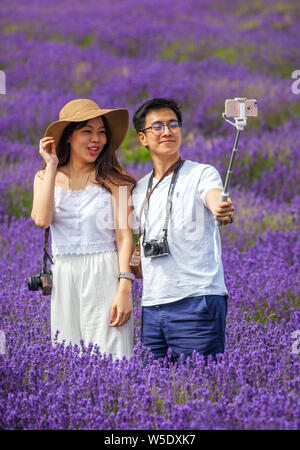 Jeune homme et femme qui pose pour les photos et vos autoportraits dans les champs de lavande à Cotswold Lavender près de Broadway Worcestershire, Angleterre, Royaume-Uni Banque D'Images