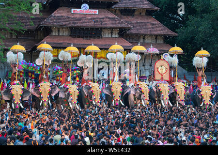 L'image de l'éléphant Décoré a été prise au festival Thrissur Pooram à Thrissur, Kerala Inde Banque D'Images