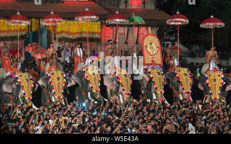 L'image de l'éléphant Décoré a été prise au festival Thrissur Pooram à Thrissur, Kerala Inde Banque D'Images