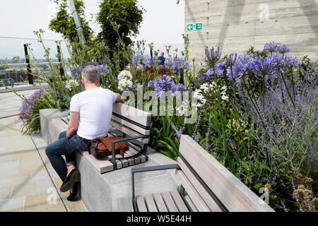 Vue arrière de l'homme visiteur assis sur un banc d'agapanthus plantes poussant dans border jardin à 120 Fenchurch Street London England UK KATHY DEWITT Banque D'Images