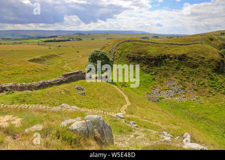 Sycamore Gap sur mur d'Hadrien, l'UNESCO World Heritage Site, mur d'Hadrien, chemin, près de Hexham, Northumberland, Parc National de Northumberland, en Angleterre. Banque D'Images