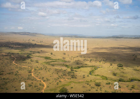 Photographie aérienne de la prairie dans le Parc National du Serengeti, Tanzanie Banque D'Images