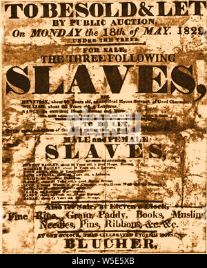 Un des survivants de l'illustration d'un des esclaves de 1829 de l'affiche avec des esclaves à vendre et à louer, liée aux produits de la région de l'Humber Royaume-Uni - le célèbre cheval de course Blutcher a également offert à la même vente. Banque D'Images