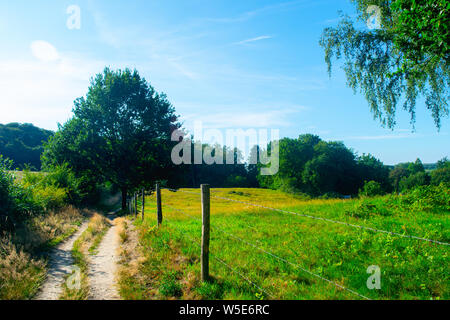 Un chemin à côté d'un paysage de prairie, la photographie a été prise à l'été dans la province de Gueldre Banque D'Images