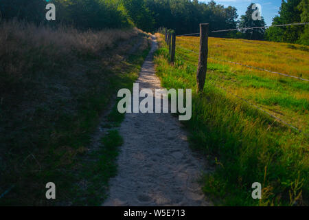 Un chemin à côté d'un paysage de prairie, la photographie a été prise à l'été dans la province de Gueldre Banque D'Images
