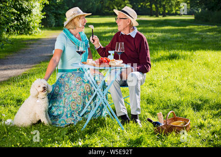 Happy senior couple avec un chien blanc pique-nique dans le parc. Belle blonde femme âgée ouvre sa bouche et son petit ami est son alimentation avec Banque D'Images