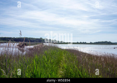 Les vasières et roselières sur la rivière Alde juste en dessous de Snape Maltings montrant les vestiges d'anciennes défenses d'inondation qui est maintenant une fottpath Banque D'Images