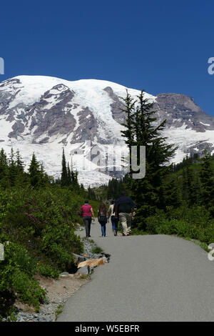 Randonneurs sur le sentier au-dessus du paradis avec la montagne en arrière-plan, le Mont Rainier National Park, Washington Banque D'Images