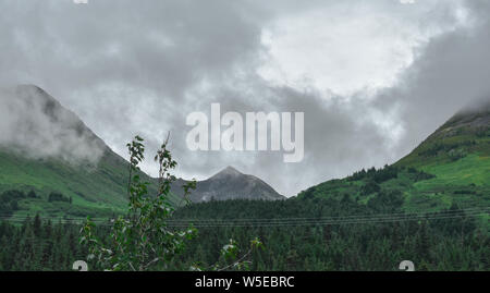 Bertha Creek Campground, Alaska Banque D'Images