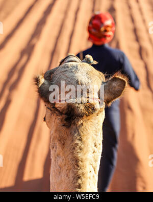 Un jeune guide bédouin mène un chameau à travers le désert de Wadi Rum, vue de l'adepte. Banque D'Images