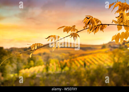 Paysage et feuillage en piémont en automne Banque D'Images